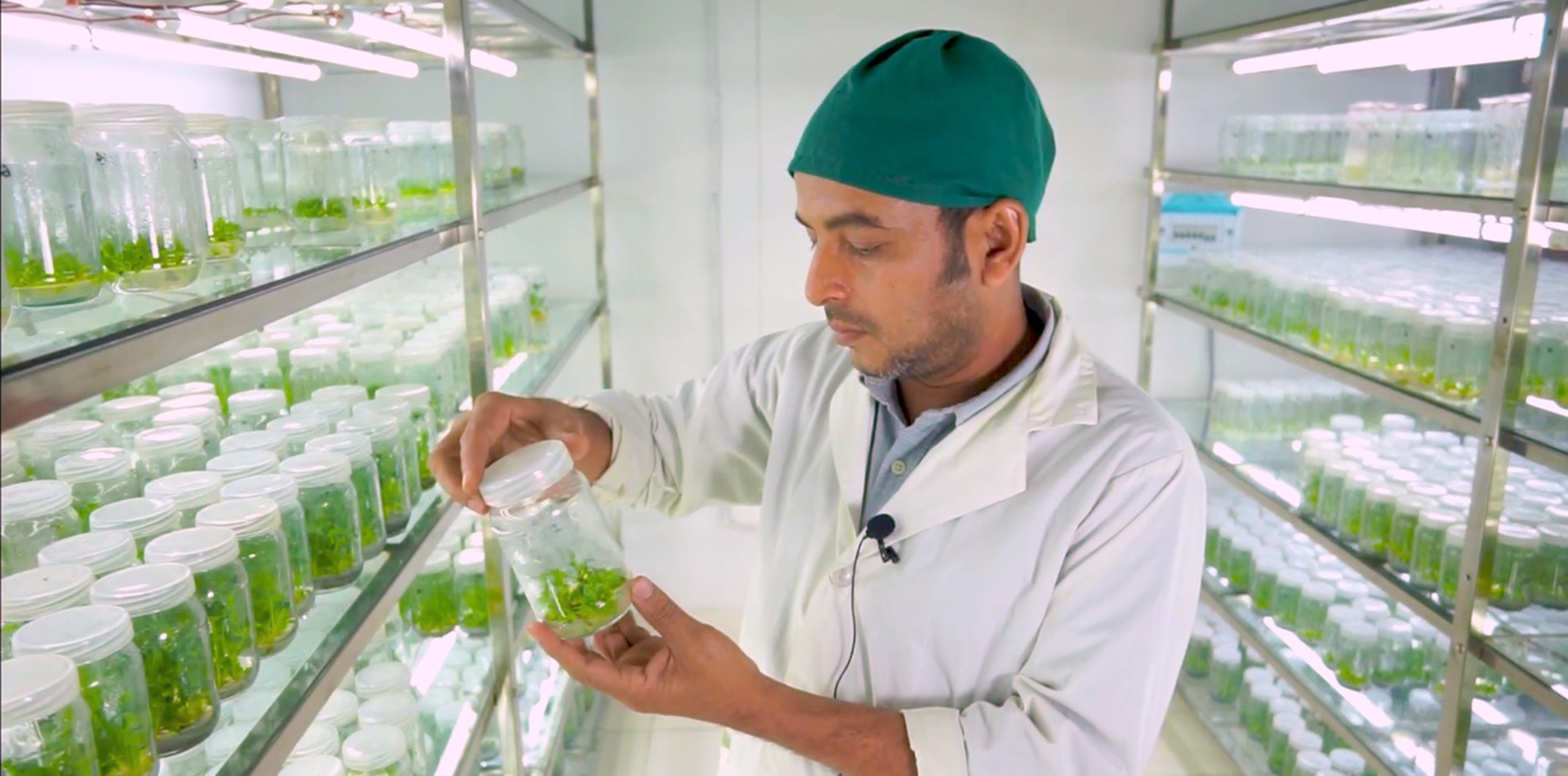 Innovation for Better Harvests